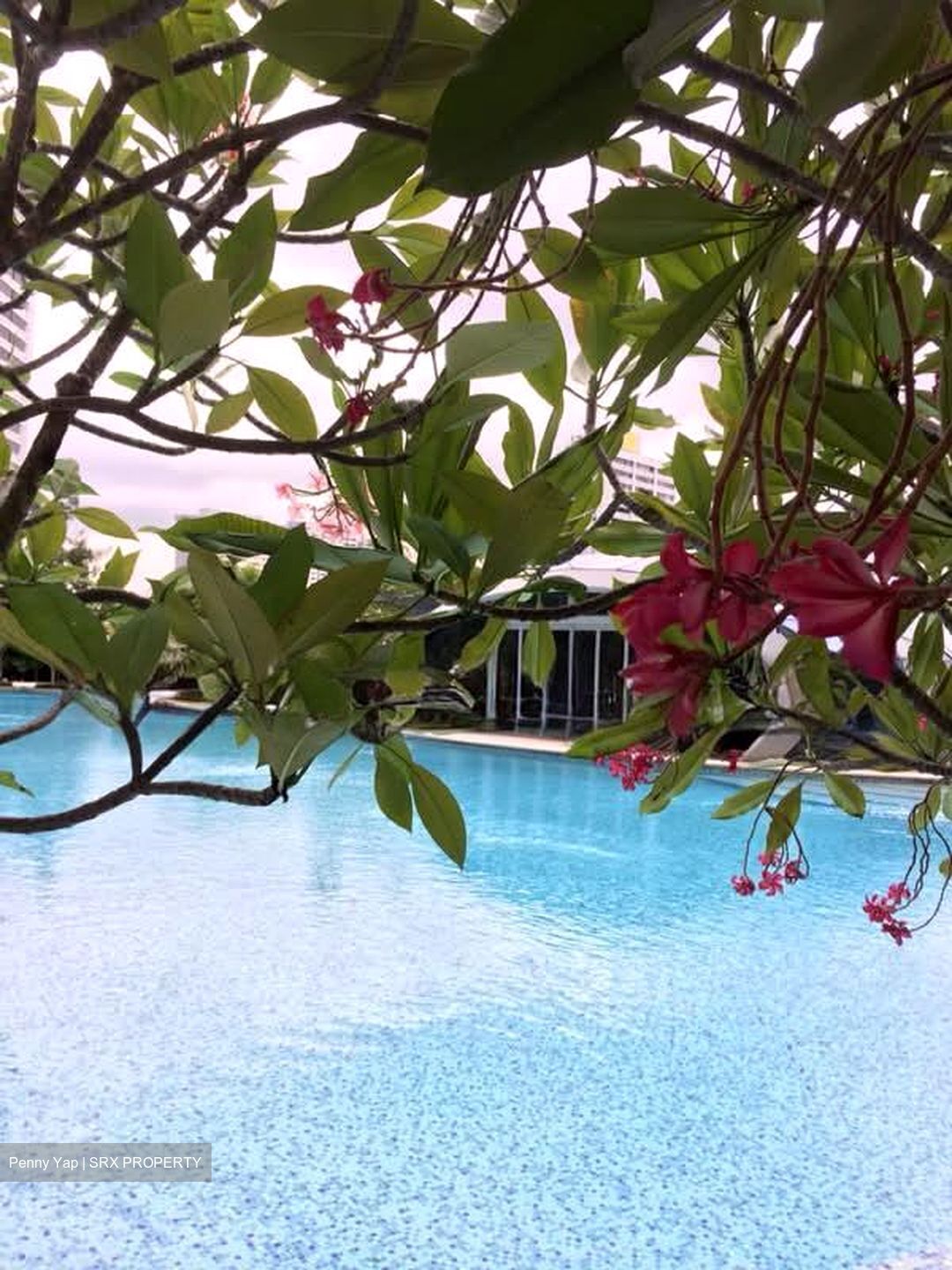 The Orchard Residences (D9), Apartment #580699831